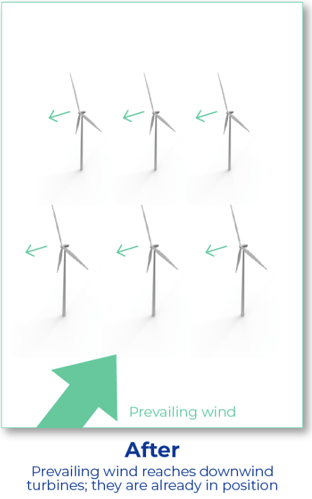 wind farm prevailing wind after optimizing the site